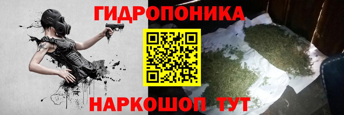 Конопля сатива  Вход с VPN  Каннабис марихуана  Кандалакша 